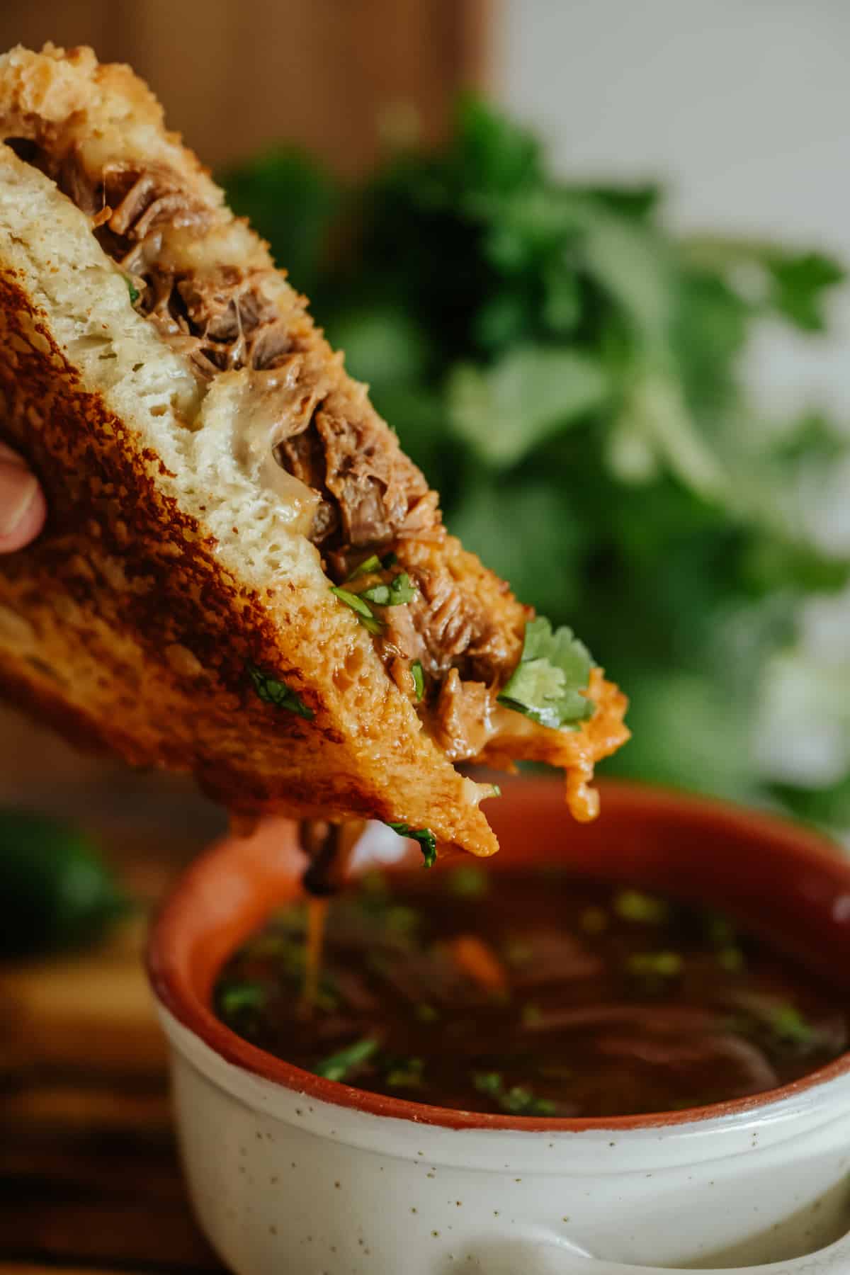 Sandwich de Birria